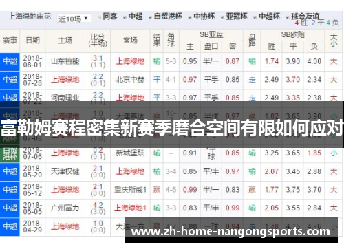 富勒姆赛程密集新赛季磨合空间有限如何应对 富勒姆赛程密集新赛季磨合空间有限如何应对